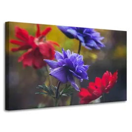 obraz-na-plotnie-botanika-kwiaty-polne-100x60-cm-wiosna-laka-dzika-przyroda