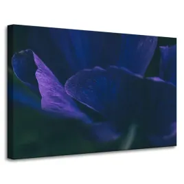 obraz-na-plotnie-botanika-fioletowe-platki-90x60-kwiat-idealny-do-sypialni