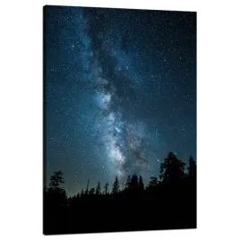 obraz-na-plotnie-kosmos-noc-las-mglawica-80x120