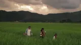 jake-macapagal-metro-manila-dvd-rodzaj-wydania-wydanie-pelne