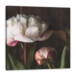 obraz-na-plotnie-bialy-kwiat-natura-vintage-retro-80x80