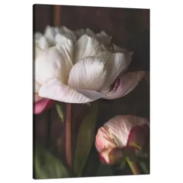 obraz-na-plotnie-bialy-kwiat-natura-vintage-retro-80x120