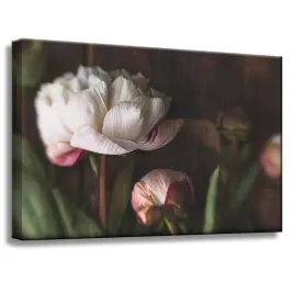 obraz-na-plotnie-bialy-kwiat-natura-vintage-retro-60x40