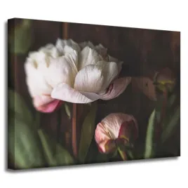obraz-na-plotnie-bialy-kwiat-natura-vintage-retro-40x30