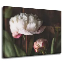 obraz-na-plotnie-botanika-kwiat-piwonie-40x30-cm-bukiet-kwiatow-flora-roz