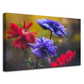 obraz-na-plotnie-botanika-kwiaty-polne-80x50-cm-wiosna-laka-dzika-przyroda