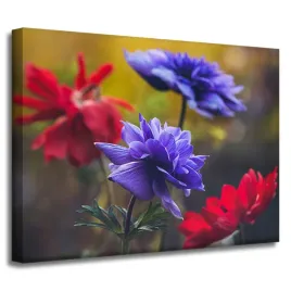 obraz-na-plotnie-botanika-kwiaty-polne-40x30-cm-wiosna-laka-dzika-przyroda