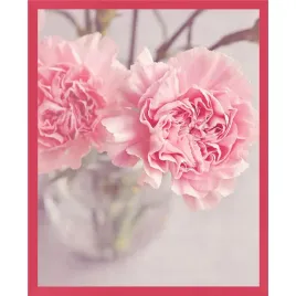 ramka-na-zdjecia-24x30-cm-amarantowa-foto-rama-roz