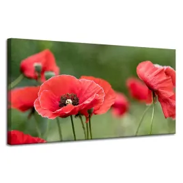 obraz-na-plotnie-botanika-czerwone-maki-120x60-cm-kwiaty-flora-laka-mak