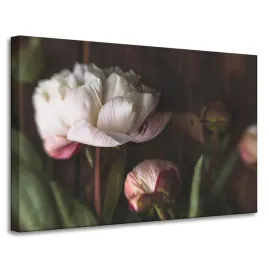 obraz-na-plotnie-bialy-kwiat-natura-vintage-retro-90x60
