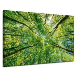 obraz-na-plotnie-drzewa-liscie-natura-las-wiosna-120x80-cm
