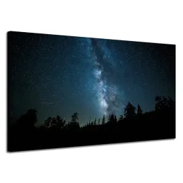 obraz-na-plotnie-kosmos-noc-las-mglawica-120x70