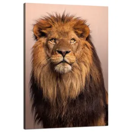 obraz-na-plotnie-twarz-lwa-pieknosc-grzywa-wlosy-80x120-cm