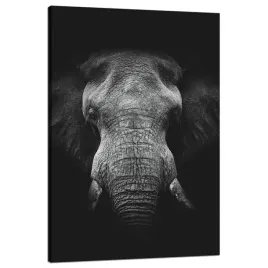 obraz-na-plotnie-twarz-szarego-slonia-traba-kly-80x120-cm