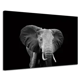 obraz-na-plotnie-szary-duzy-slon-na-czarnym-tle-120x80-cm