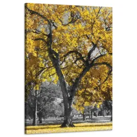 obraz-na-plotnie-czarne-drzewa-zolte-liscie-80x120-cm-idealny-na-prezent