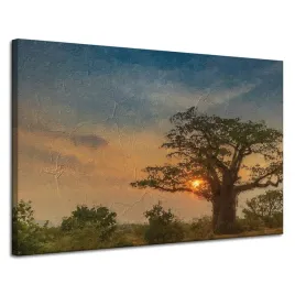 obraz-na-plotnie-zachodzace-slonce-na-sawannie-120x80-cm-idealny-na-prezent