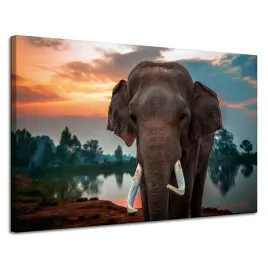 obraz-na-plotnie-piekne-niebo-slon-przyroda-120x80-cm-idealny-na-prezent