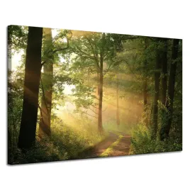 obraz-na-plotnie-swiatlo-slonca-las-sciezka-natura-120x80-cm