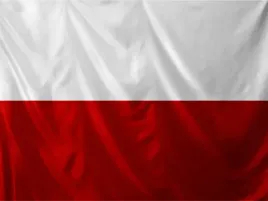 mil-tec-oficjalna-flaga-polski-polska-150x90