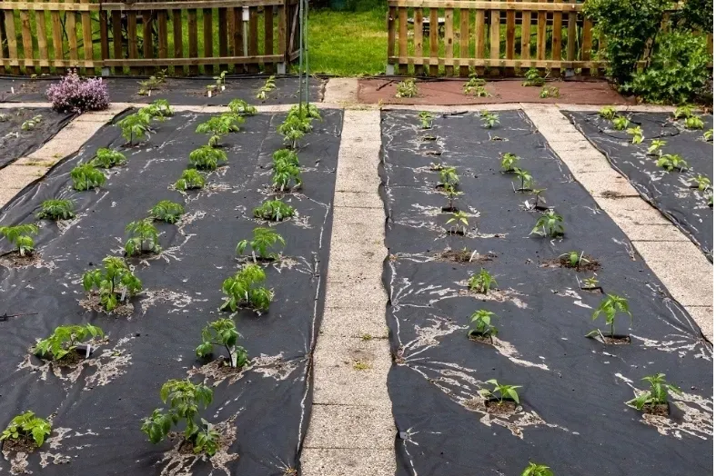 300szt-szpilki-kotwy-kolki-do-agrowlokniny-agrotkaniny-mocna-szpilka-15cm