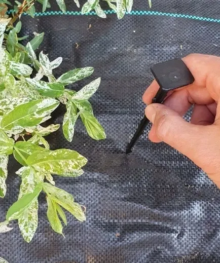 300szt-szpilki-kotwy-kolki-do-agrowlokniny-agrotkaniny-mocna-szpilka-15cm-stan-nowy