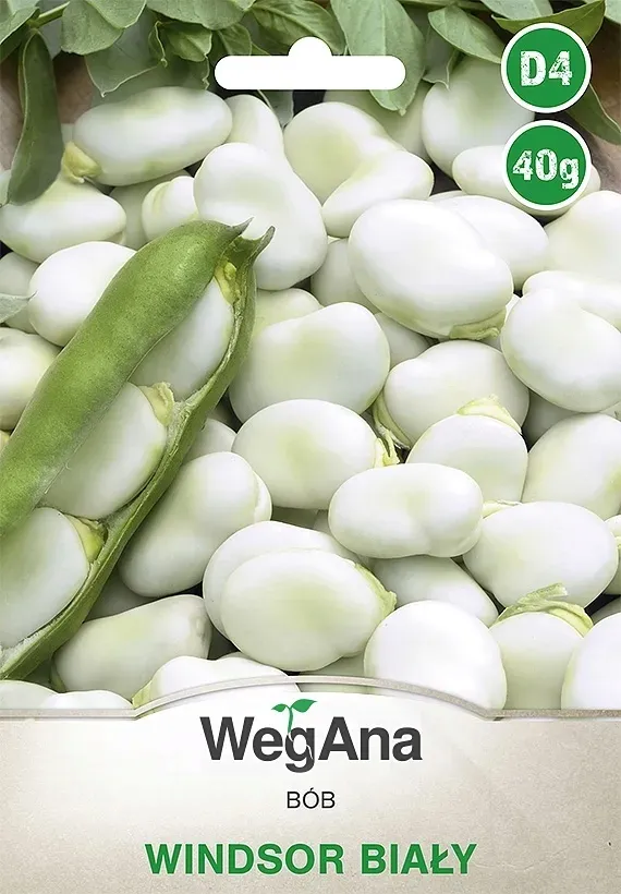 wegana-bob-windsor-bialy-nasiona-40-g-rodzaj-rosliny-groch-i-bob