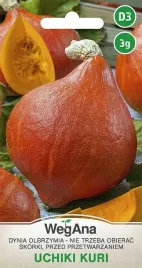 uchiki-kuri-nasiona-3-g-wegana-dynia-olb-uchiki