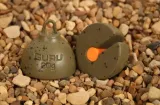 gruntomierze-guru-inline-plummets-20g-marka-guru