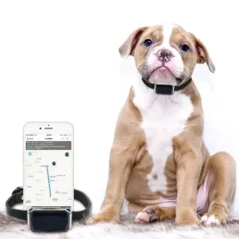 obroza-lokalizator-gps-g12p-dla-zwierzat-zwierzeta-psa-pies-kot-sos-app
