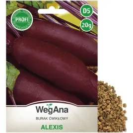 nasiona-wegana-burak-cwiklowy-alexis-20-g