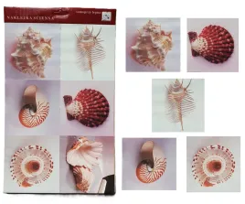 naklejki-samoprzylepne-muszle-175-x-175-cm-6-szt