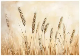 fototapeta-boho-laka-bezowa-natura-sypialnia-salon-tapeta-flizelina-300x210