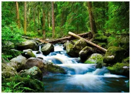 fototapeta-wodospad-3d-las-natura-do-sypialni-salonu-tapeta-scienna-300x210