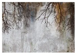 fototapeta-drzewo-galazki-beton-imitacja-254x184