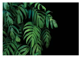 fototapeta-liscie-monstera-3d-do-sypialni-254x184