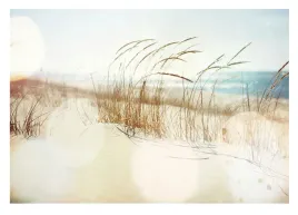 fototapeta-plaza-morze-3d-wydmy-trawa-416x254