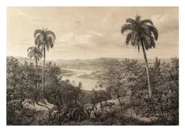 fototapeta-dzungla-vintage-retro-sepia-416x254