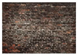 fototapeta-cegly-3d-mur-stara-sciana-salon-312x219