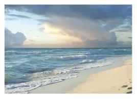 fototapeta-morze-plaza-ocean-fala-natura-sypialnia-salon-tapeta-368x254