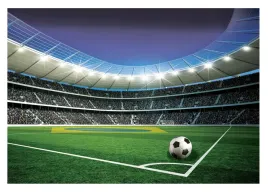 fototapeta-dla-chlopca-stadion-boisko-pilka-nozna-pilkarska-416x254