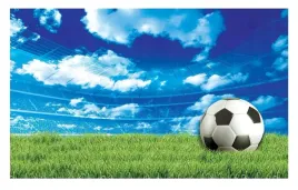 fototapeta-pilka-nozna-stadion-tapeta-do-pokoju-chlopca-mlodziezy-368x254