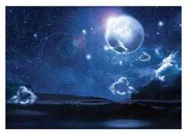 fototapeta-niebo-noca-nocne-niebo-ksiezyc-416x254
