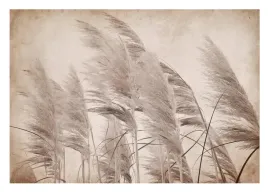 fototapeta-trawa-pampasowa-boho-sypialnia-254x184