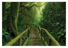 fototapeta-dzungla-pomost-3d-las-tropikalny-natura-rosliny-zielone-368x254