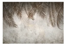fototapeta-liscie-palmy-wiszace-piora-bez-tapeta-na-sciane-salon-416x254
