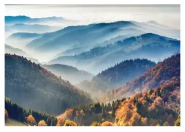 fototapeta-gory-we-mgle-3d-las-mglisty-natura-krajobraz-widok-312x219