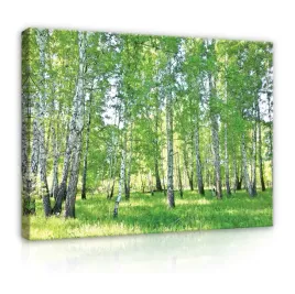 obraz-las-na-plotnie-do-sypialni-salonu-xxl-120x80