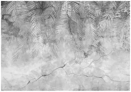 fototapeta-liscie-palmy-na-betonie-piora-do-sypialni-salonu-tapeta-200x140