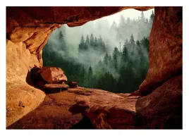 fototapeta-3d-las-we-mgle-widok-jaskinia-254x184